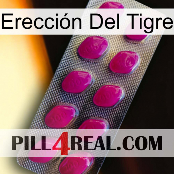 Erección Del Tigre 09.jpg